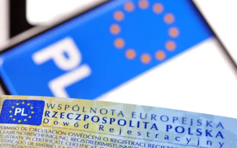 Zbliżenie na polski dowód rejestracyjny i tablicę z literami "PL". Dokument potwierdza legalność pojazdu.