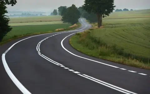Zakręt drogi z podwójną ciągłą linią. Uważaj, bo wyprzedzanie na podwójnej ciągłej grozi mandatem.