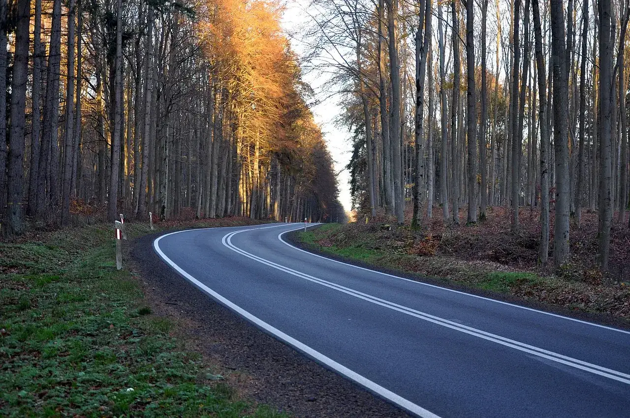 Droga wijąca się przez jesienny las. Słońce oświetla drzewa, tworząc złote refleksy. Idealne miejsce na wyprzedzanie, gdy droga jest pusta.